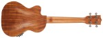 Tanglewood TWT 17 E (rozbalené)
