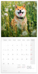 Nástěnný kalendář poznámkový 2027 Notique Happy Doge, 30 x 30 cm
