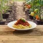 Expres Menu Boloňská omáčka s tempehem 600 g (2porce)