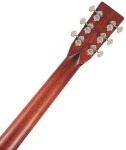Eastman E6D-TC