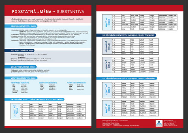 Přehledová tabulka učiva podstatná jména