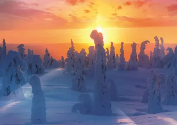 Trefl - Puzzle - Finská příroda