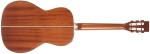 Takamine P3NY