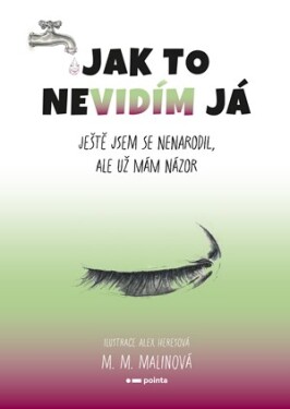 Jak to nevidím já