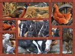 COBBLE HILL Puzzle Přátelé na farmě XL