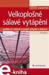 Velkoplošné sálavé vytápění. podlahové, stěnové a stropní vytápění a chlazení - Jiří Bašta e-kniha