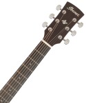 Ibanez AW1040CE Natural