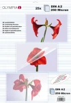 OLYMPIA A2/500 lesklé - balení 25 ks