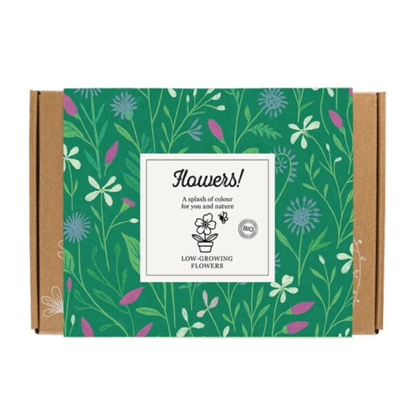 Blossombs Dárková sada semínek divokých květin Flowers – 7 ks, zelená barva, papír