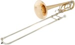 Arnolds & Sons ASL-6480
