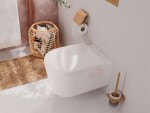 HANSGROHE - AddStoris WC štětka nástěnná, matné sklo/kartáčovaný bronz 41752140