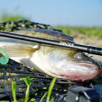 Zeck Podběrák Scheppkelle 180cm,Zeck Podběrák Scheppkelle 180cm