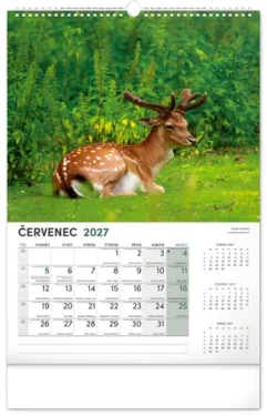 NOTIQUE Nástěnný kalendář Myslivecký 2027 / 33 × 46 cm