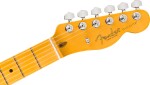Fender American Professional Telecaster MN NAT