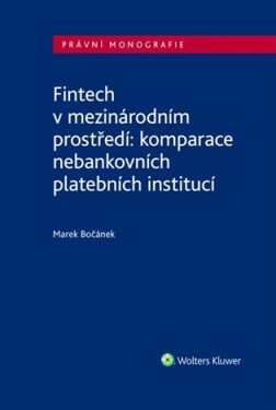 Fintech v mezinárodním prostředí
