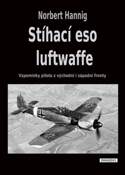 Stíhací eso luftwaffe