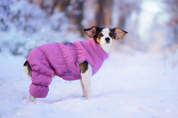 Lira teplá kombinéza pro psa Barva: Růžová, Délka zad (cm): 32, Obvod hrudníku: 33 - 50 cm