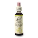Kaštan bílý (White Chestnut) 20 ml- Bachovy esence Dr.Bach