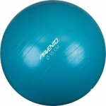 Avento Fitness 55 cm