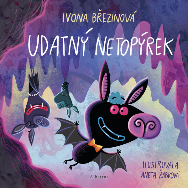 Udatný netopýrek - Ivona Březinová