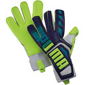 Brankářské rukavice Puma Evo Speed 1.3 Prism 041015 01 11