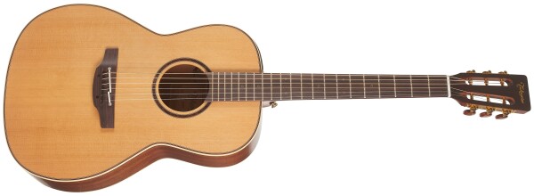 Takamine P3NY