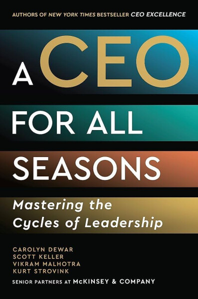 A CEO for All Seasons - Carolyn Dewar