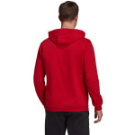 Pánská mikina Entrada 22 Hoody H57514 Adidas