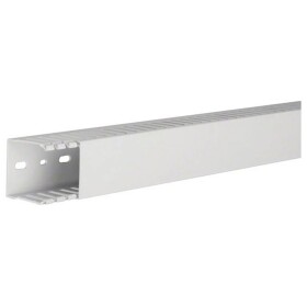 Hager HNG5005007035B vodicí lišta (d x š x v) 2 m x 50 mm x 50 mm 2 m šedá