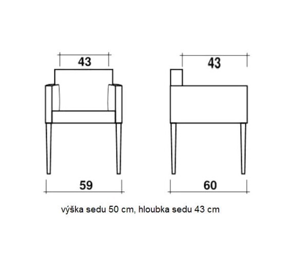 MELLI Křeslo Erik (59x80x60 cm) buk