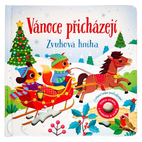 Vánoce přicházejí - Zvuková kniha - Sam Taplin
