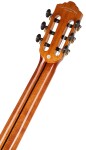 Tanglewood EM D3