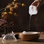 Dřevěný aroma difuzér s bluetooth reproduktorem a IP odposlechem Hompp