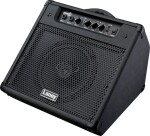 Laney DH-40