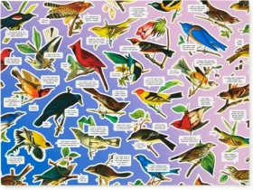GALISON Puzzle Mořští ptáci