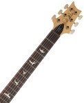 PRS CE 24 Carroll Blue