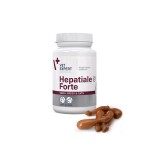 Vetexpert Hepatiale Forte Small breed & cats (40 kapslí Twist Off)