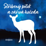 Stříbrný potok a zářivá hvězda - Vladimír Brabec, Petr Svojtka, Miroslava Špánková-Hozová, Václav Mareš, Drahomíra Měsková - audiokniha