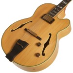 Ibanez PM200 Natural