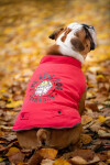 Bulldog zimní bunda pro psa Barva: Modrá, Délka zad (cm): 25, Obvod hrudníku: 34 - 40 cm