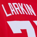 Mitchell & Ness Pánský dres Detroit Red Wings NHL Dylan Larkin #71 2016 Stadium Series Premium Power Play Velikost: L