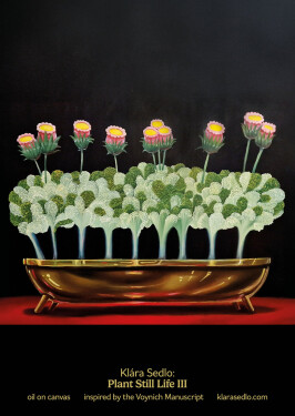 Plant Still Life III