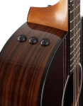 Taylor 217e-SB Plus