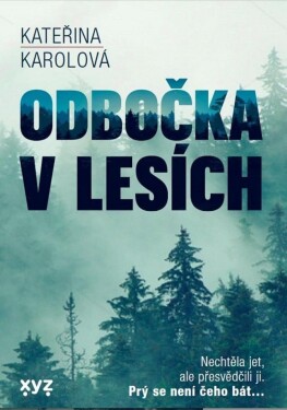 Odbočka lesích