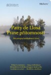 Praxe přítomnosti Patty de Llosa