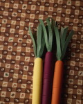 Rifle Paper Co. Sada propisek Tricolor Carrots – set 3 ks, multi barva, plast