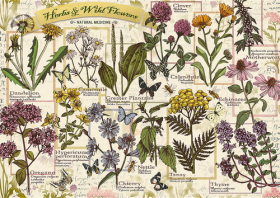 Puzzle Herbarium Léčivé byliny 500 dílků