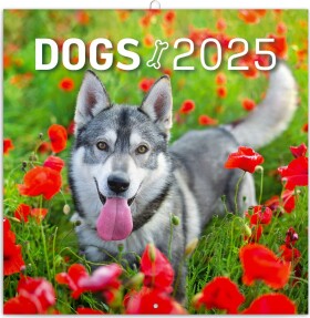 Kalendář 2025 poznámkový: Psi, 30 30 cm