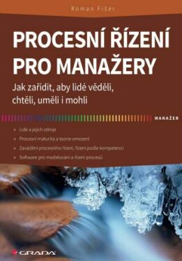 Procesní řízení pro manažery - Roman Fišer - e-kniha