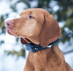 Obojek pro dalšího psa DOG GPS X30